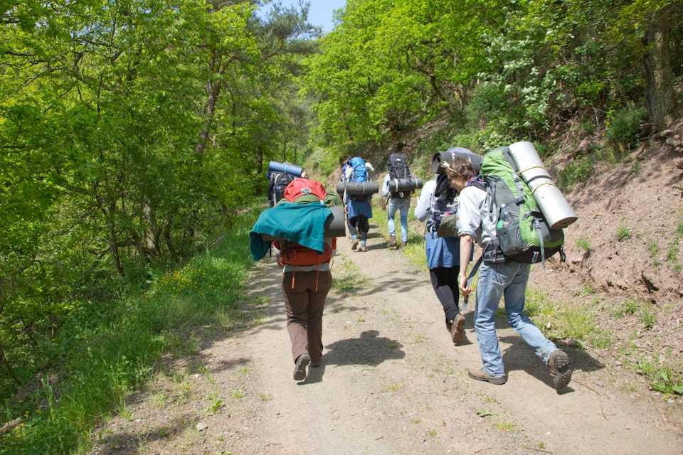 Pfadfinder mit Rucksäcken wandern